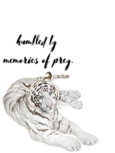 Load image into Gallery viewer, t-shirts-for-men-c-men-readytowear-tshirts/products/t-shirts-for-men-t-shirts-for-men