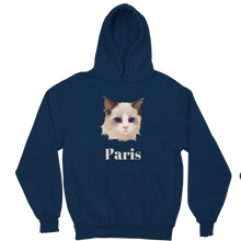 Load image into Gallery viewer, KSANSPAREIL PLATINUM HOODIE