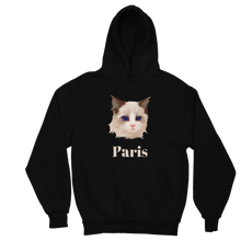 Load image into Gallery viewer, KSANSPAREIL PLATINUM HOODIE